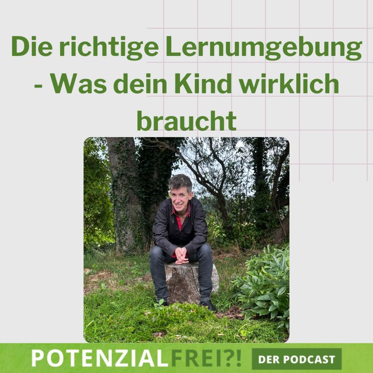 cover art for Die richtige Lernumgebung - Was dein Kind wirklich braucht | PF136