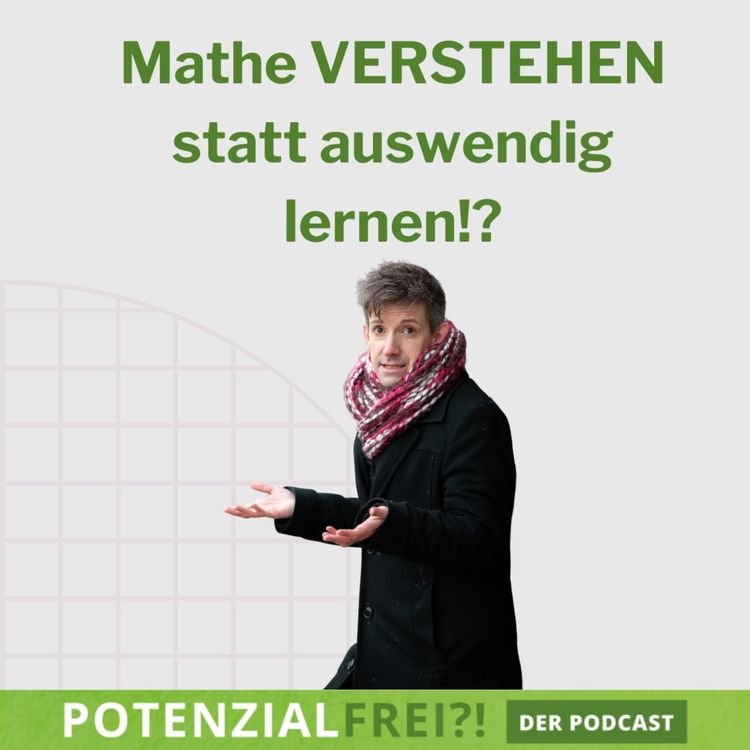 cover art for Mathe verstehen statt auswendig lernen | PF145