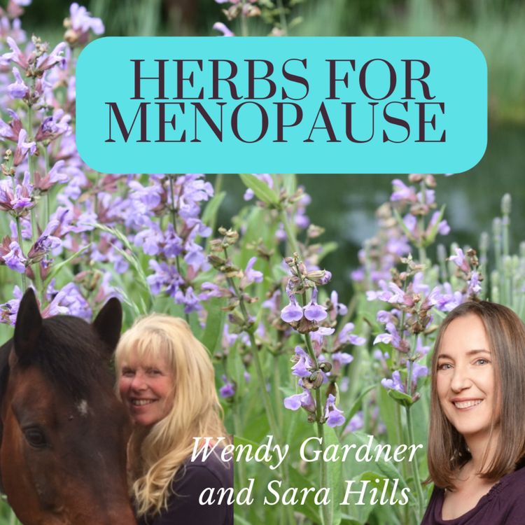 cover art for Herbs for Menopause