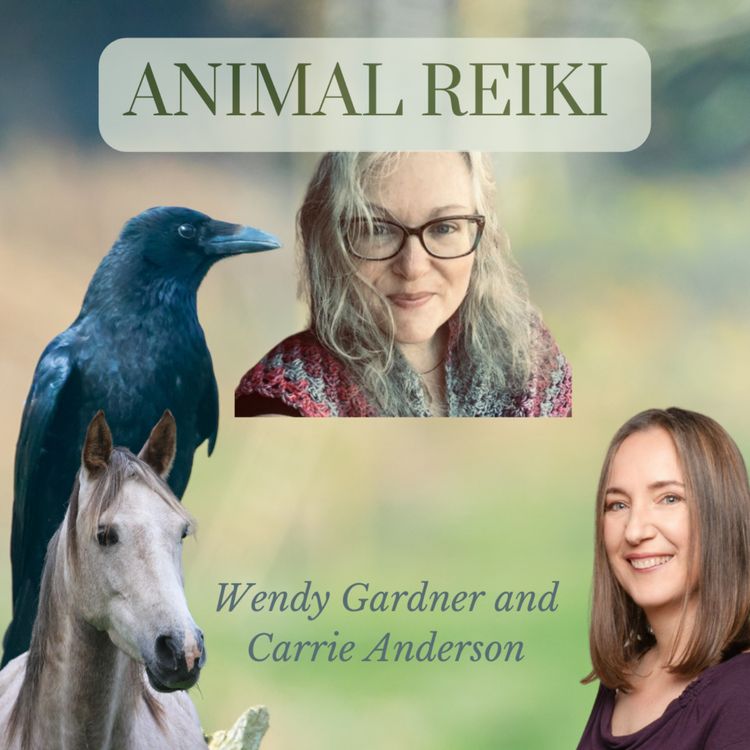 cover art for Animal Reiki 