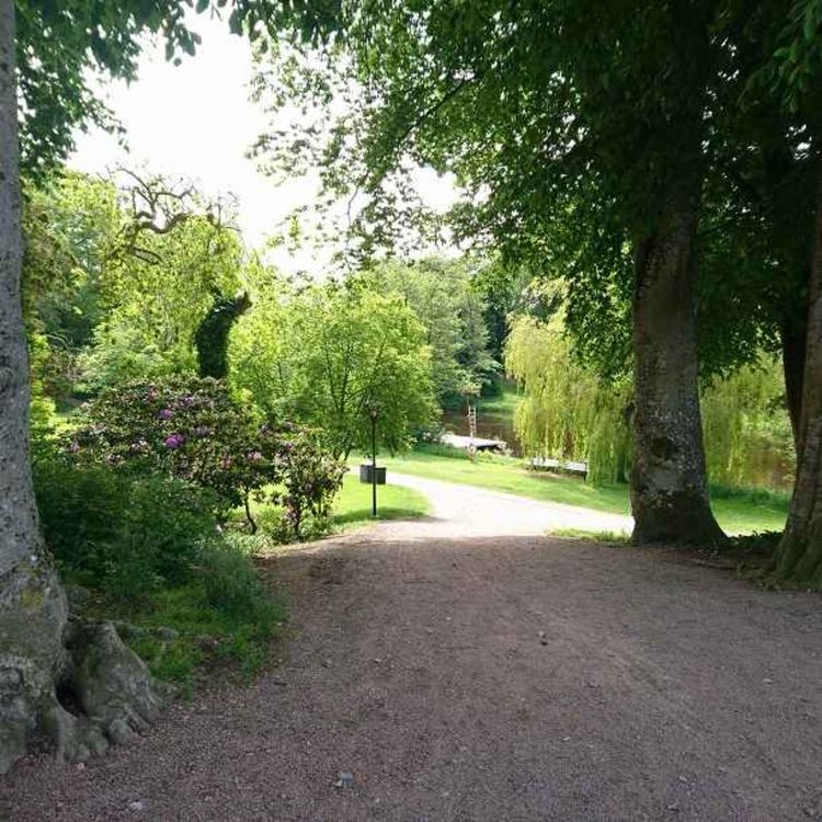 cover art for A vision that came true. A spirit came and wanted to talk to someone