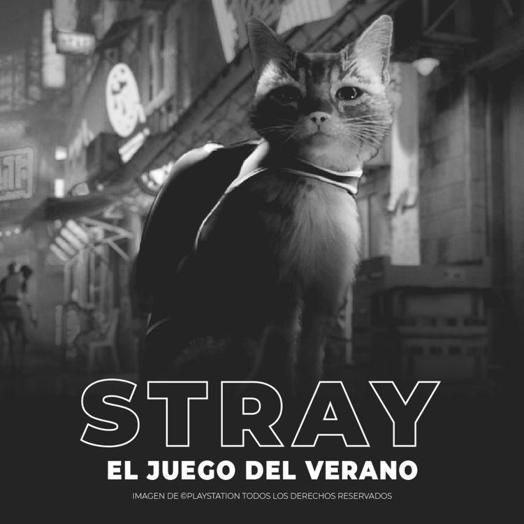 cover art for 08/08/22 - Stray el juego del verano