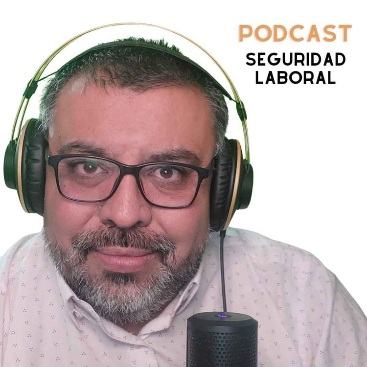 cover art for Funciones del Comité Paritario de Higiene y Seguridad