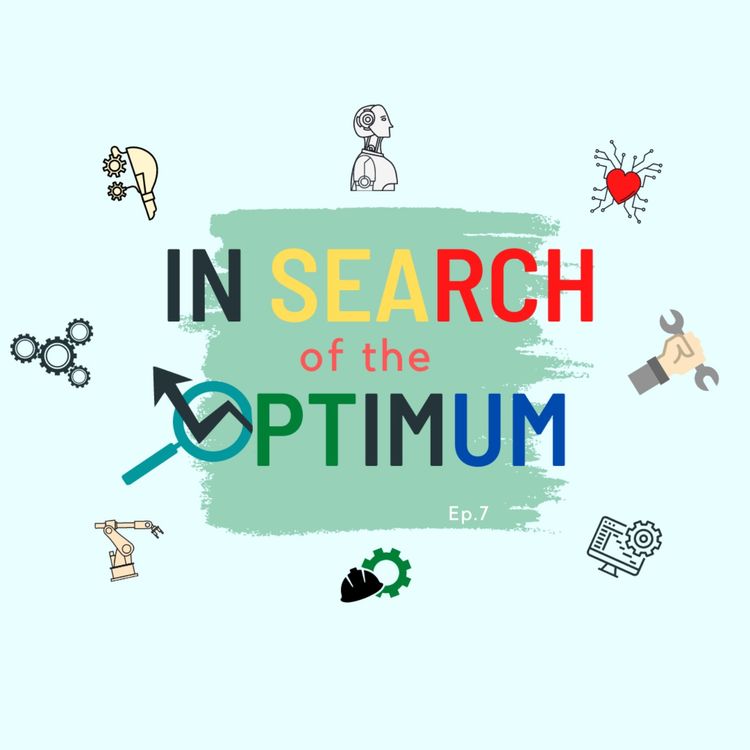 cover art for  In search of the optimum 