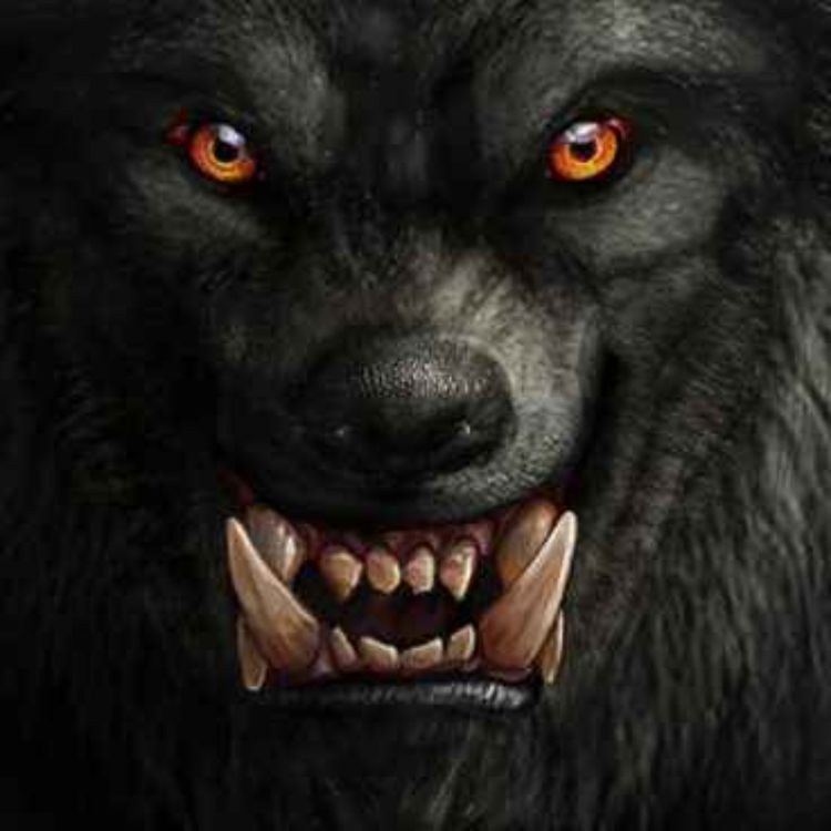 cover art for 4 HISTORIAS DE HOMBRES LOBO | HISTORIAS DE HOMBRES LOBO REALES