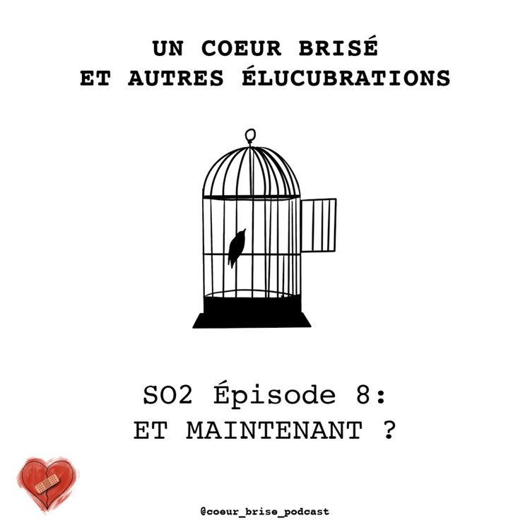 cover art for ÉPISODE 8 - Et maintenant ?