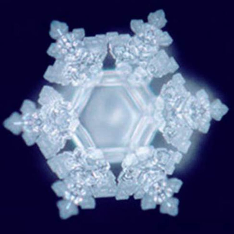 cover art for Mai-Liis Napa | Dr. Masaru Emoto