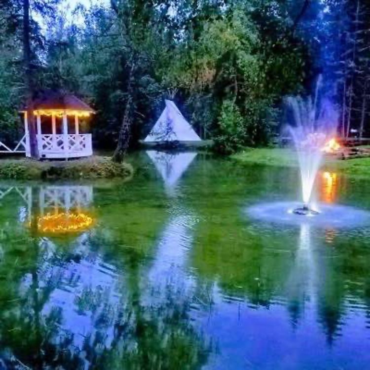 cover art for Priit Adler | Puhas vesi