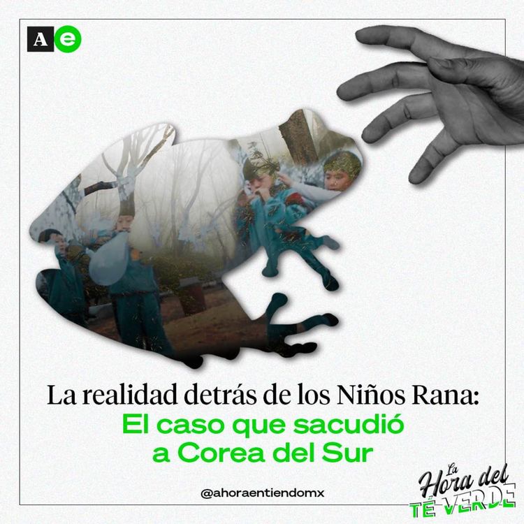 cover art for La realidad detrás de los Niños Rana: El caso que sacudió a Corea del Sur.