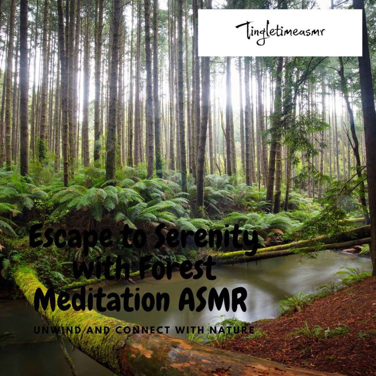 cover art for Episode 80 = Escape to Serenity with Forest Meditation ASMR