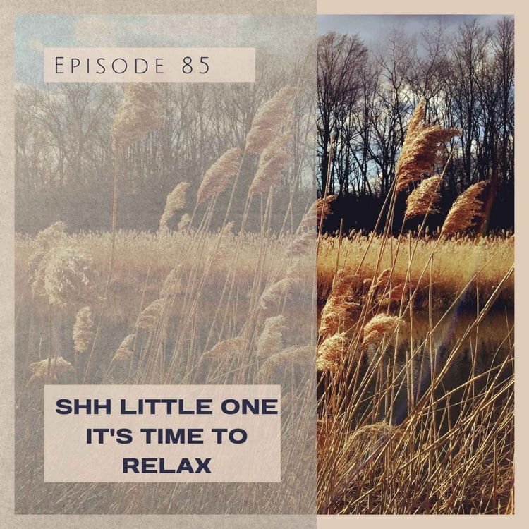 cover art for Episode 85 - ASMR, Shh Little One it's Time to Relax