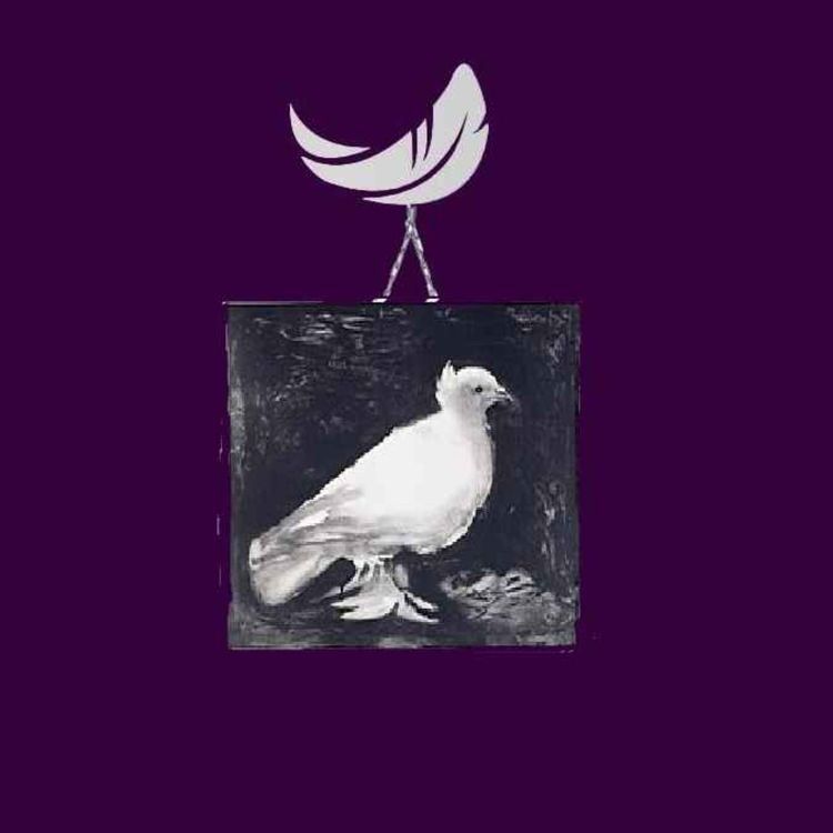 cover art for قسمت ۲۰- پرگشایی- رادیو پرگست