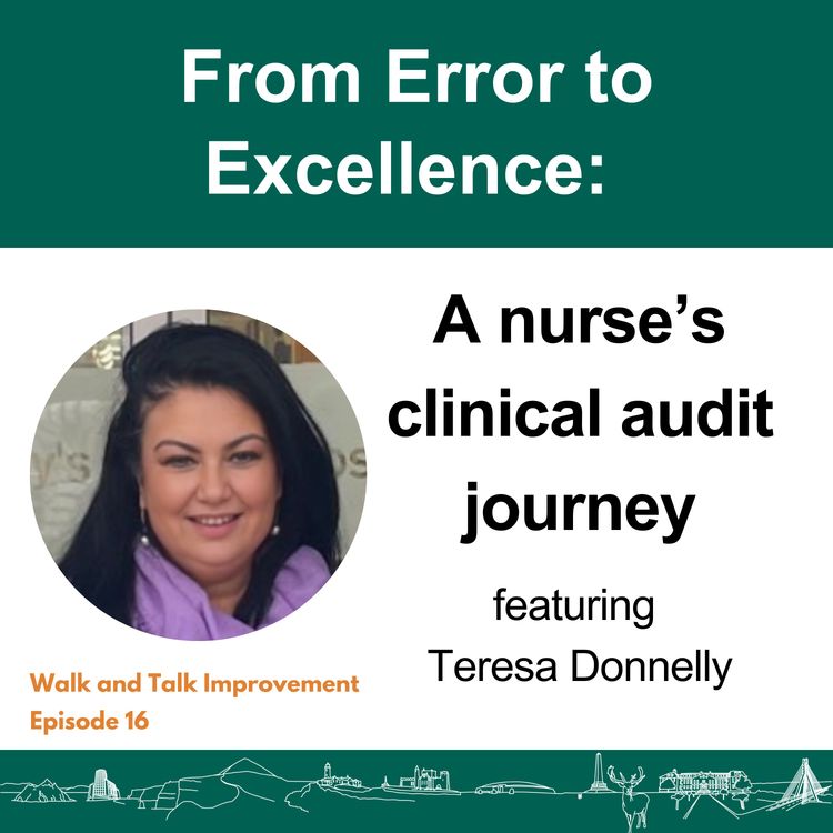 cover art for From Error to Excellence: a nurse's clinical audit journey