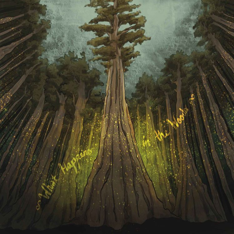 cover art for What Happens in the Woods