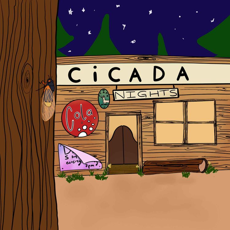 cover art for cicada nights