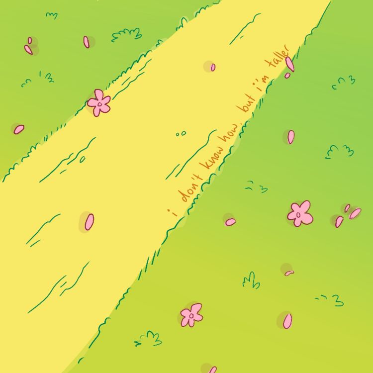 cover art for i don't know how but i'm taller