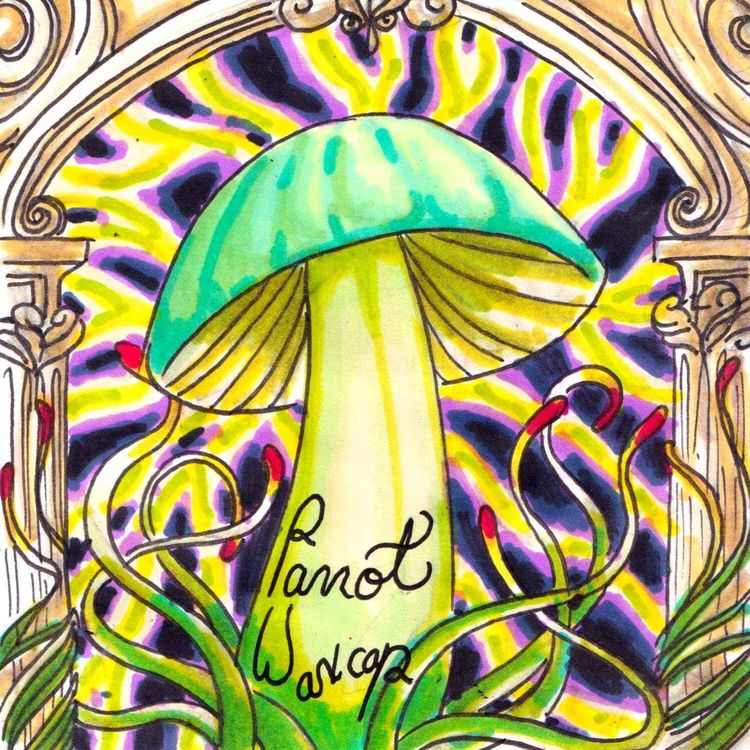 cover art for Parrot Waxcap