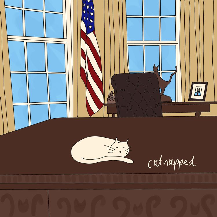 cover art for Catnapped