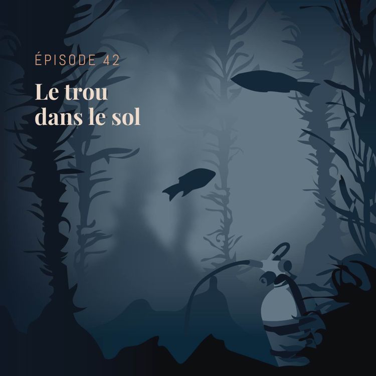 cover art for Episode 42 : Le trou dans le sol