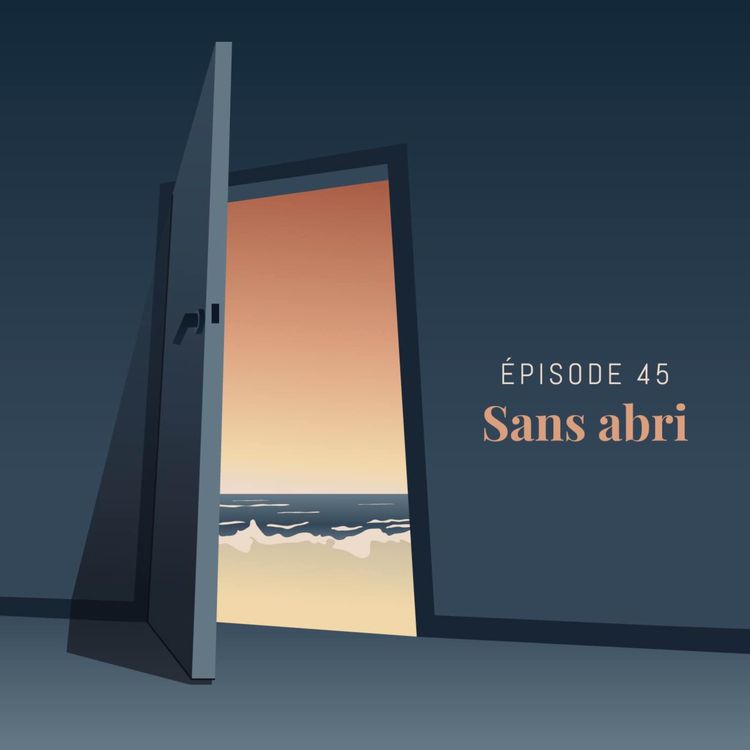 cover art for Episode 45 : Sans abri