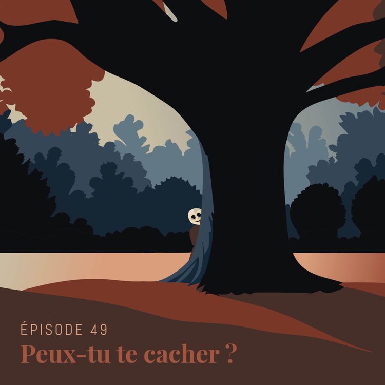 cover art for Episode 49 : Peux-tu te cacher ?