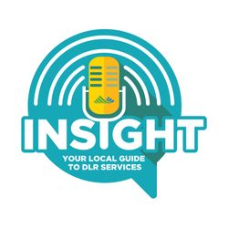 cover art for Insight