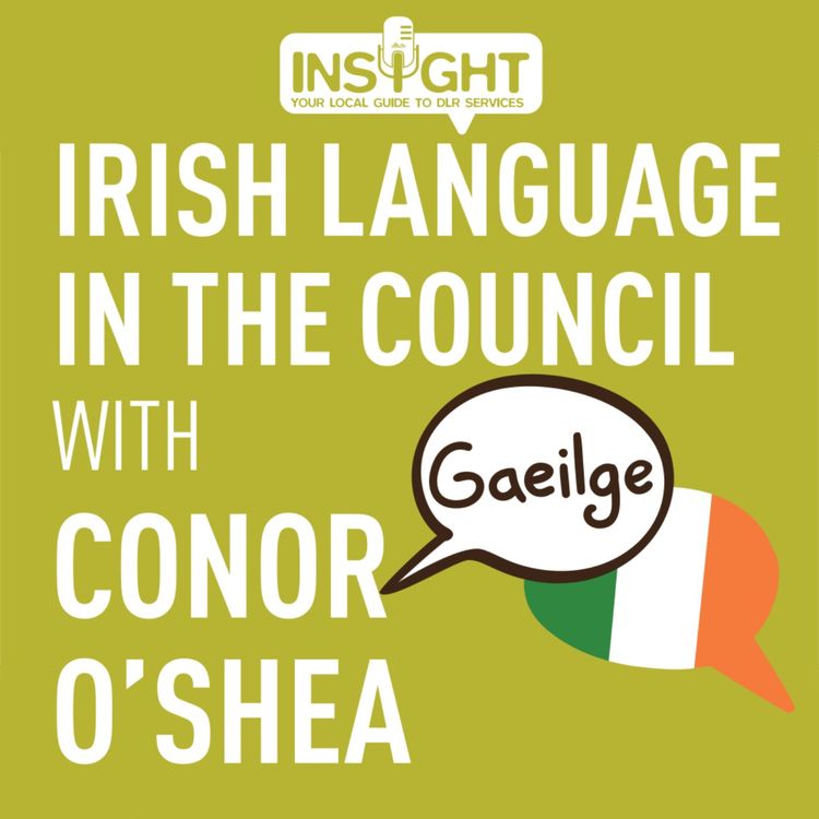 cover art for Irish Language in the Council