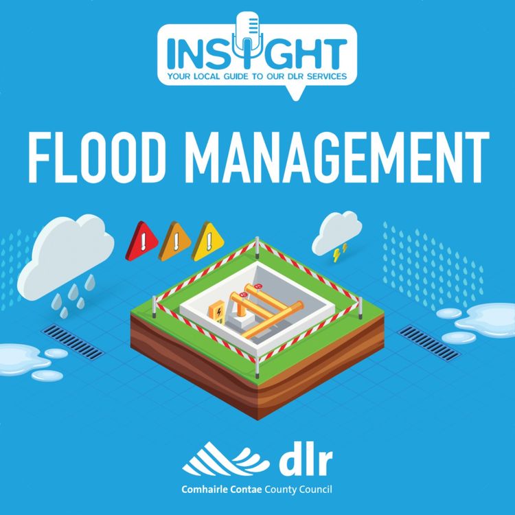 cover art for Flood Management