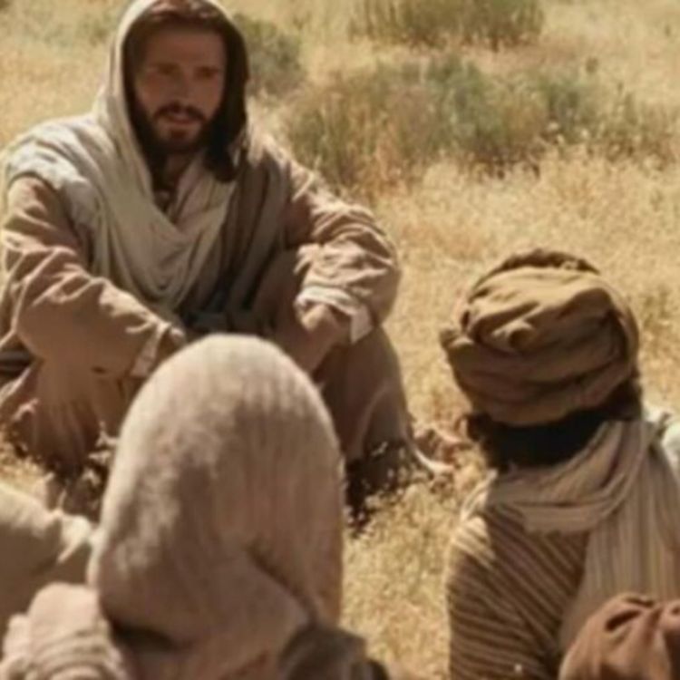 cover art for Alleluia For Twenty-fourth Sunday in Ordinary Time, Year A