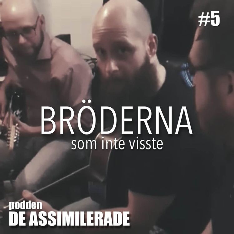 cover art for Bröderna som inte visste