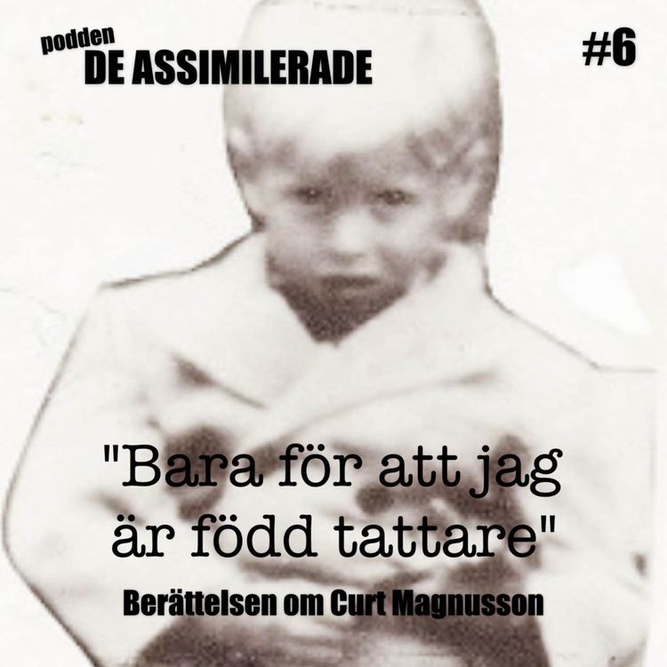 cover art for Bara för att jag är född tattare