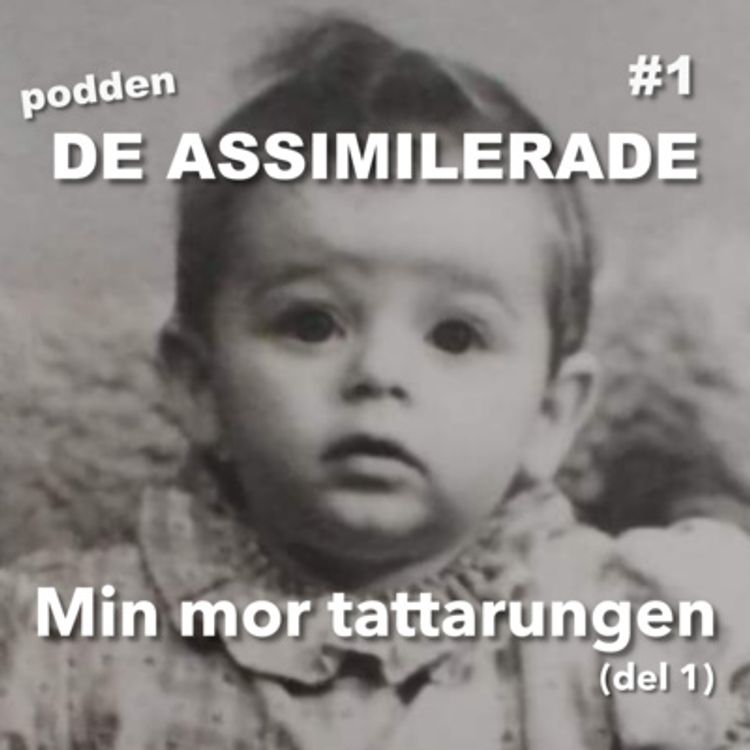 cover art for Min mor tattarungen - del 1