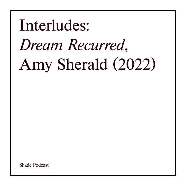 cover art for Interludes: featuring Amy Sherald