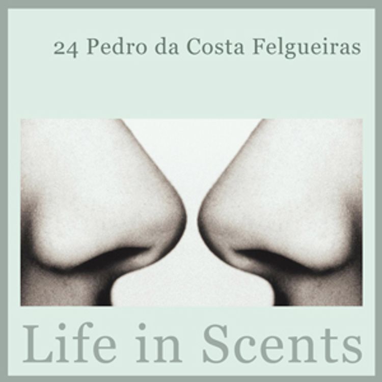 cover art for 24 Pedro da Costa Felgueiras