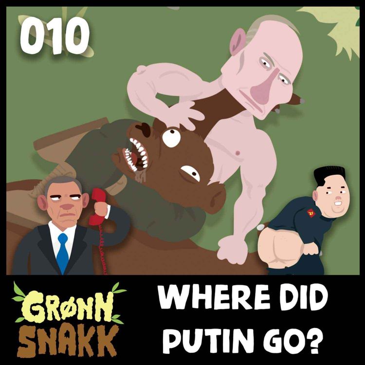 cover art for 'Where did Putin go?'