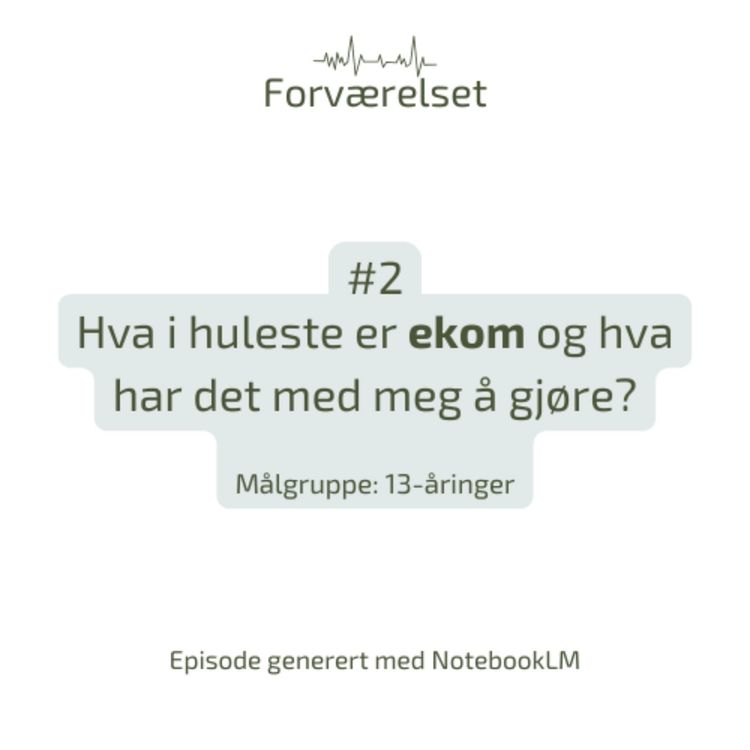 cover art for Hva i huleste er ekom og hva har det med meg å gjøre? (eng)