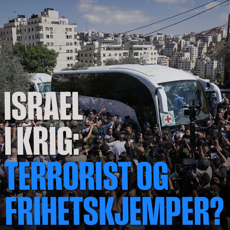 cover art for Israel i krig: Terrorist og frihetskjemper?