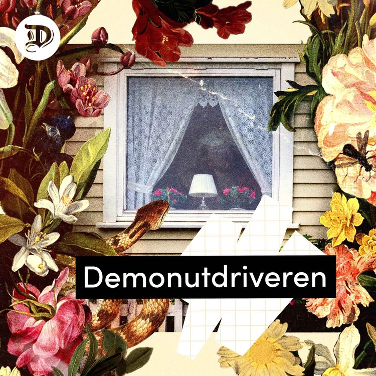 cover art for Demonutdriveren: Solveigs metode (3:5)