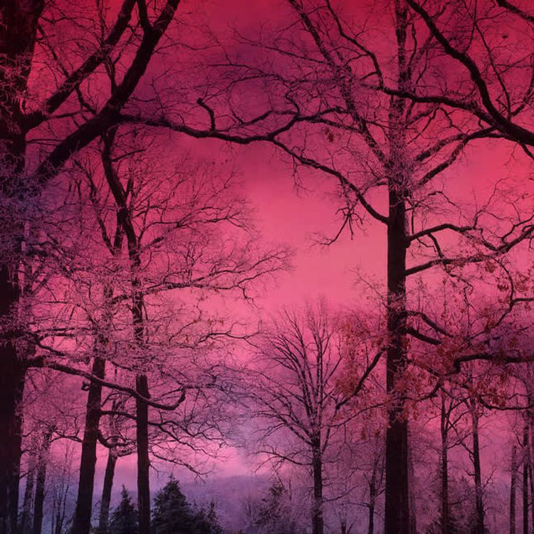 cover art for مینی اپیزود سوم - پاییز