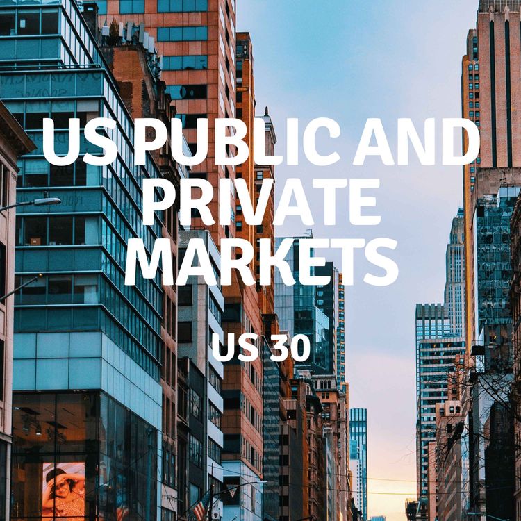 cover art for US 30 | US Public and Private Markets