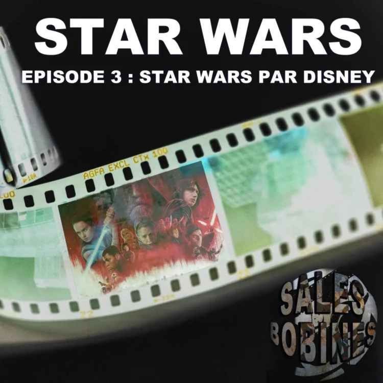 cover art for Sales Bobines épisode 3.5 : Star Wars épisode 9 L'Ascension de Skywalker