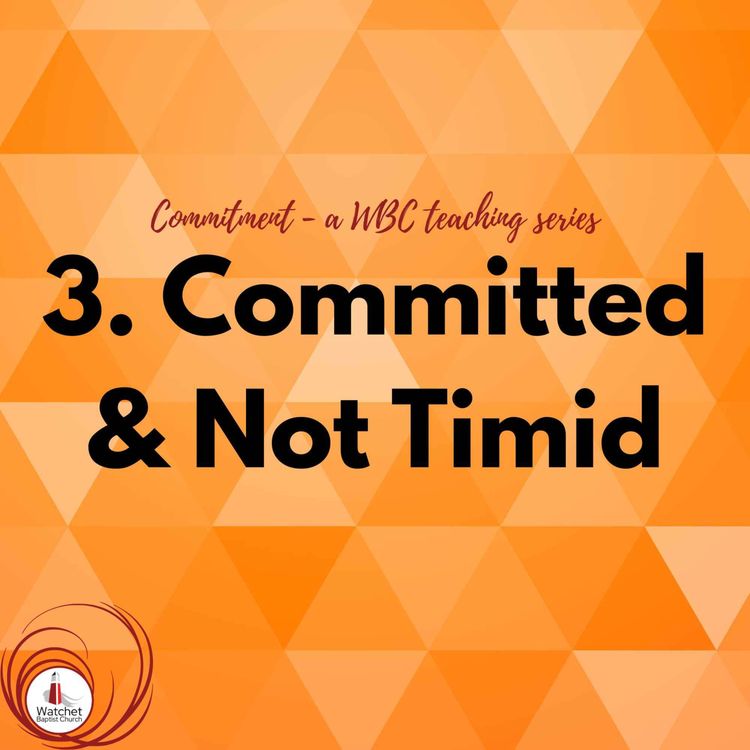 cover art for Committed and Not Timid