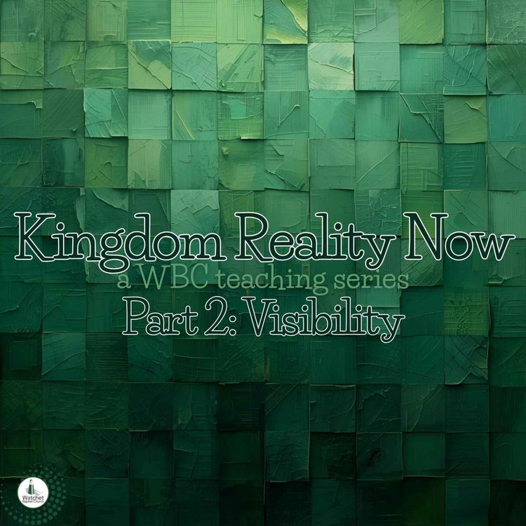 cover art for Visibility