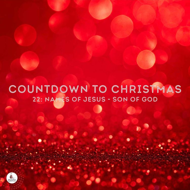 cover art for Countdown to Christmas - 22