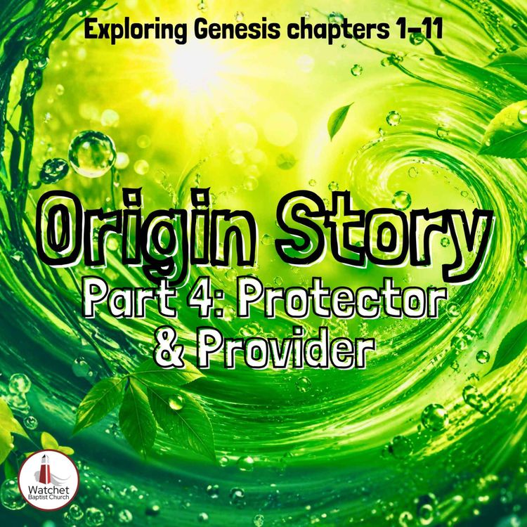 cover art for Protector & Provider