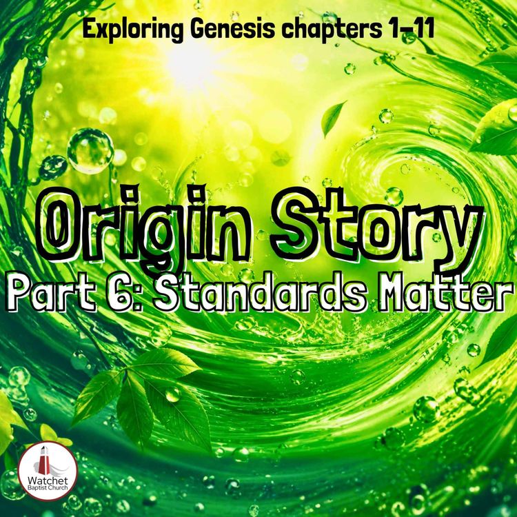 cover art for Standards Matter