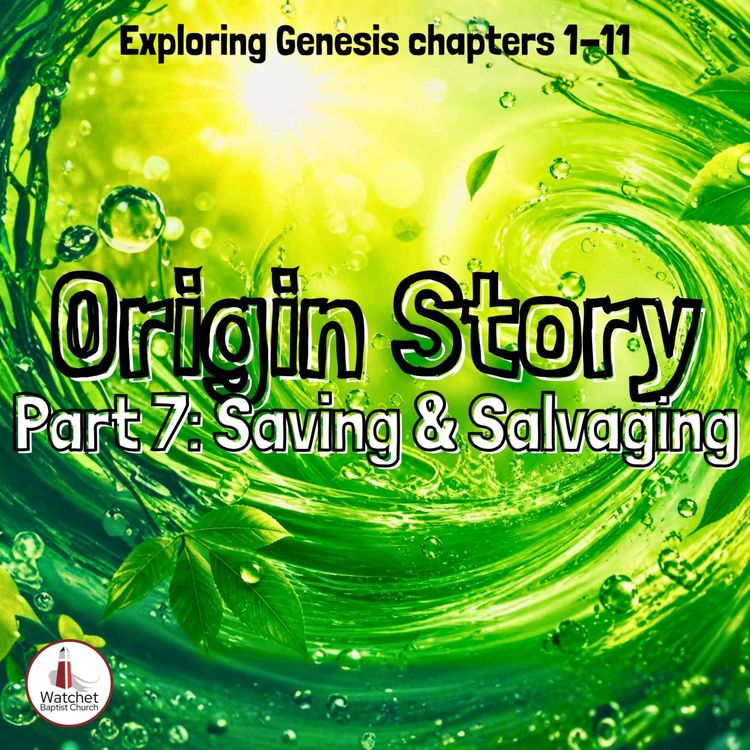cover art for Saving and Salvaging