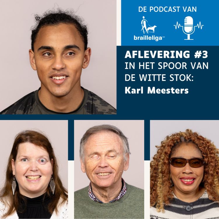 cover art for #3 In het spoor van de Witte Stok: Karl Meesters