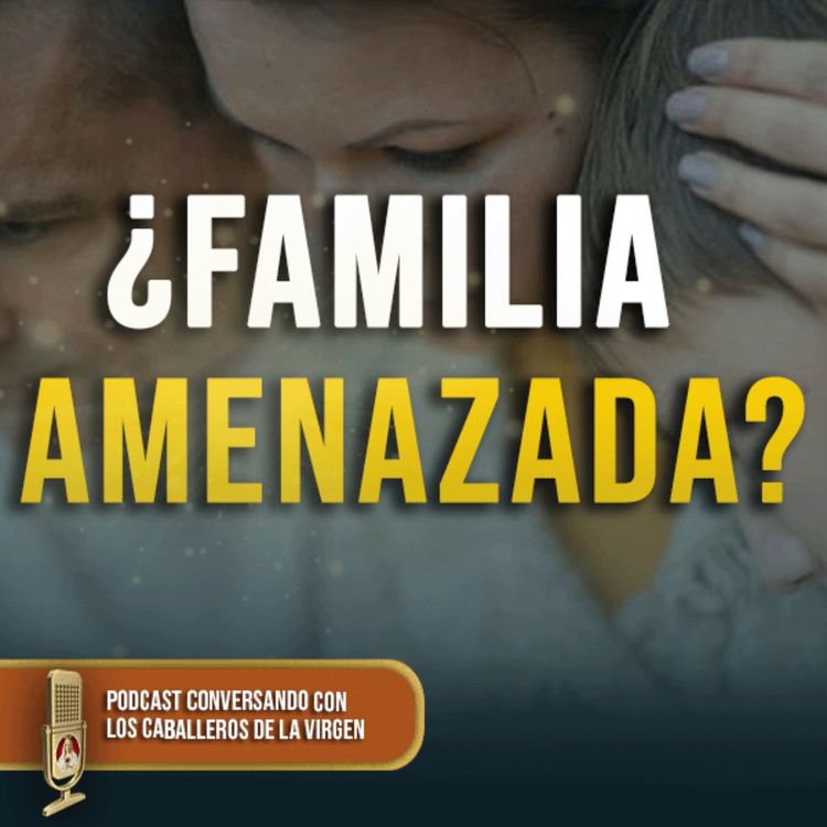 cover art for ¿Por qué atacan la familia? 169° (PODCAST )