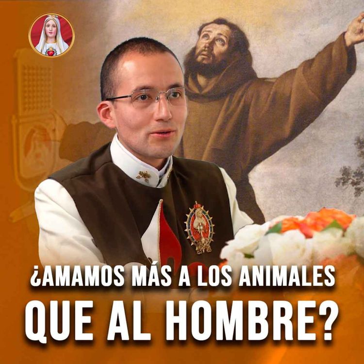 cover art for ¿Estamos entendiendo MAL la ECOLOGÍA?